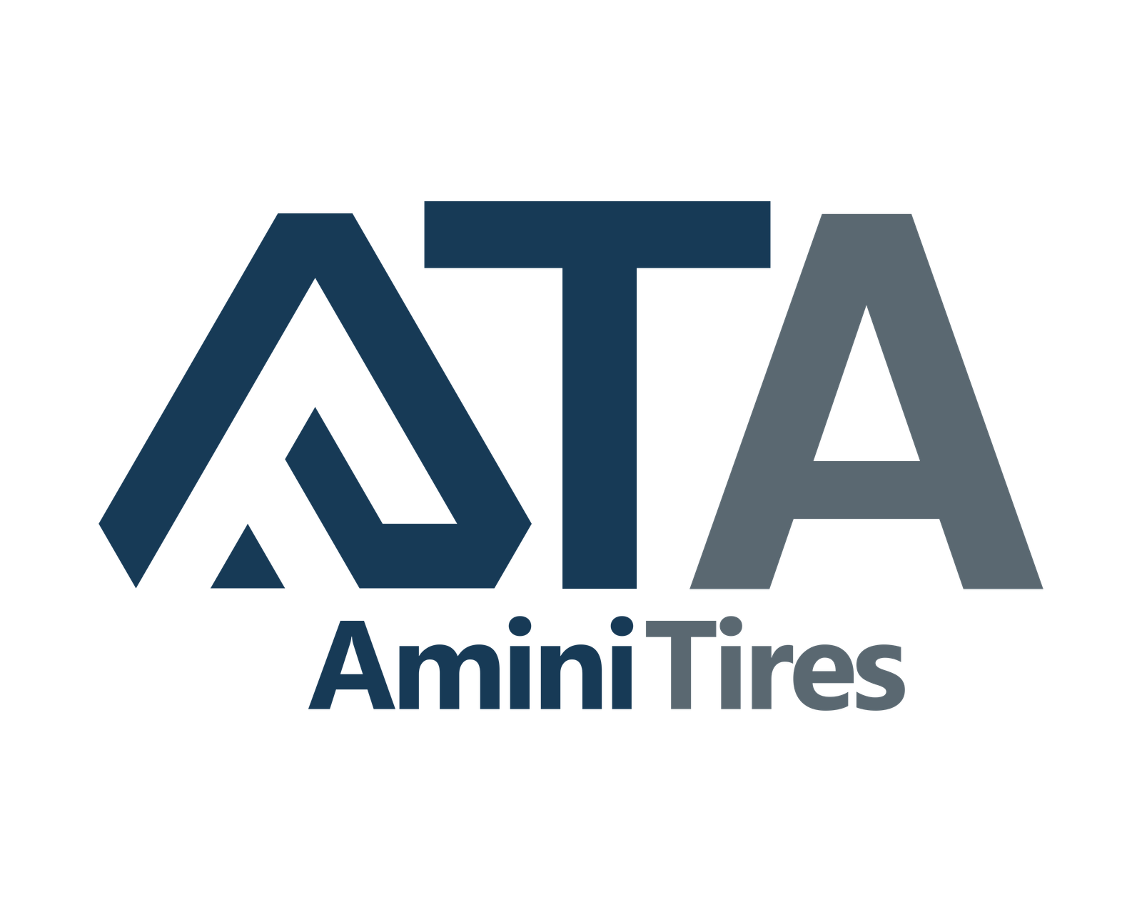 Amini Tires - Premium Tire Solutions